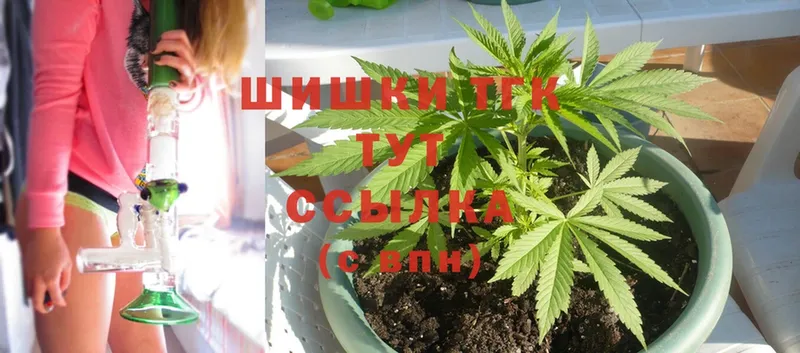 Канабис THC 21%  Дигора 